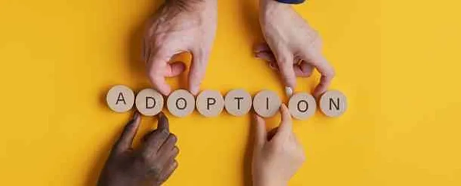 Adoption simple
